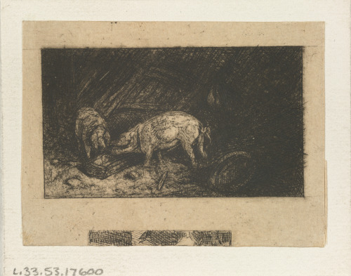 TWO PIGS