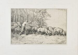 Troup de porcs sortant d’un bois