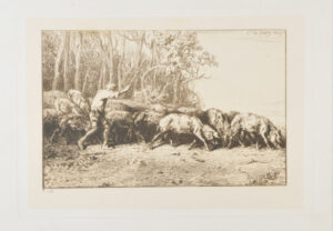 Troup de porcs sortant d’un bois