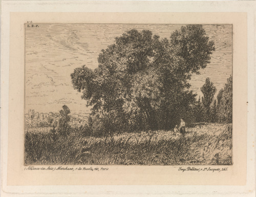 LANDSCAPE: ÎLE D'ALIGRE