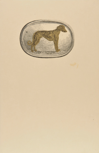 A Greyhound (Museo Nazionale, Florence)