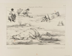 Sheet of Studies: Dead Horse, Seated Children etc.