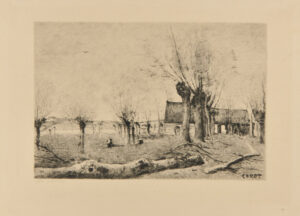 Saulaie à Sainte Catherine, Près Arras