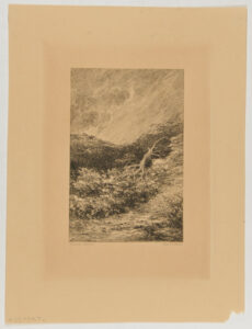 Landscape in a Storm