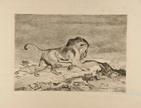 Lion et Serpent