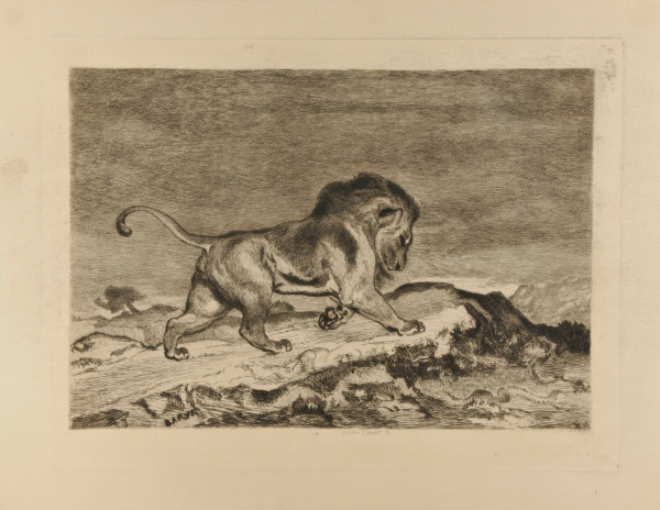 Lion et Serpent