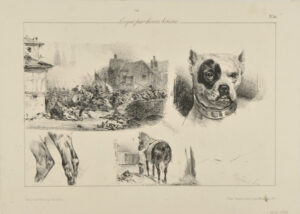 Croquis par divers Artistes: No.24: Army Charging; Head of a Dog; Horse Being Saddled etc.