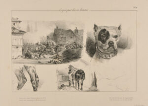 Croquis par divers Artistes: No. 24: Army Charging, Head of a Dog, Horse Being Saddled etc.