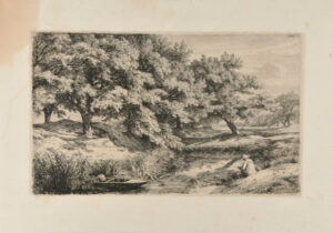 La Mare aux châtaigniers