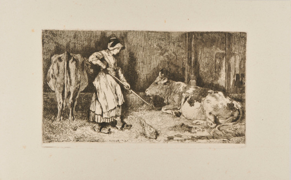 WOMAN WITH COWS