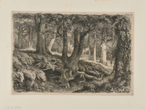 L’Arbre aux racines