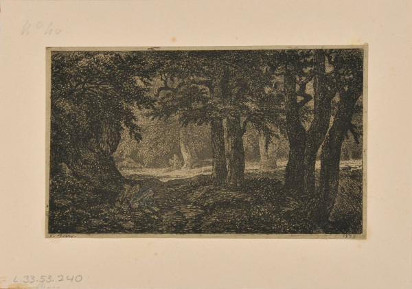 Le Petit dessous de bois