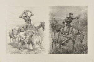 Don Quixote, ill. #11