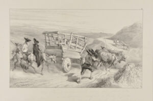 Don Quixote, ill. #19