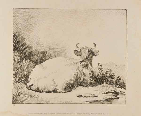 Cow Seated (seen from the back with head raised)