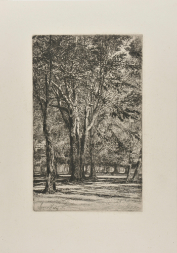 KENSINGTON GARDENS, NO. II (LARGE PLATE)