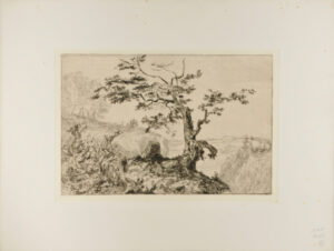 Landscape: Tree on the Edge of a Mountain