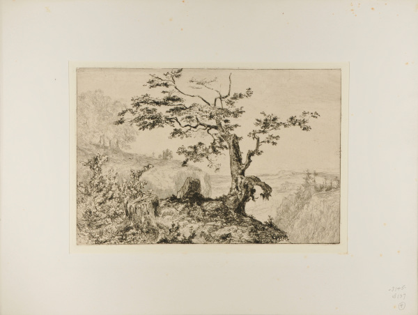 Landscape: Tree on the Edge of a Mountain