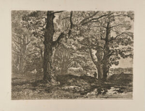 Landscape: Forest with Figure Holding Walking Stick