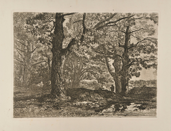 Landscape: Forest with Figure Holding Walking Stick