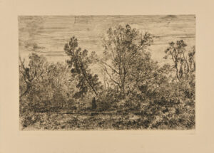 Landscape: Pool, Surrounded by Trees