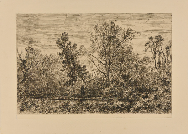 Landscape: Pool, Surrounded by Trees