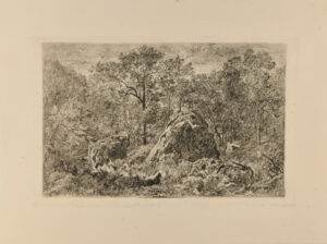 Landscape: Large Rock