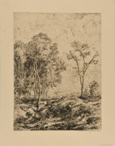 Landscape: Clump of Trees on the left and single tree on the right with small ravine in between