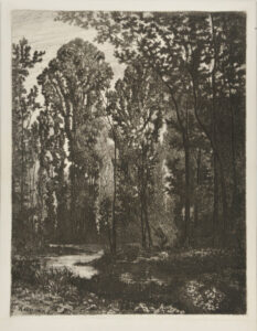 Hunter in the Forest