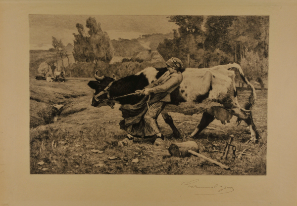 GIRL STRUGGLING WITH COW