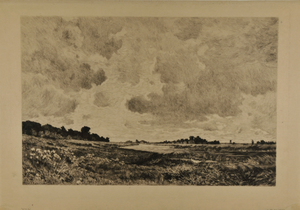 Marshy Landscape with Cloudy Sky