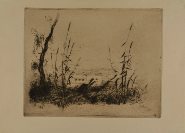 Scene en Algerie - Image 2