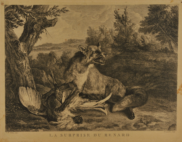 La Surprise du Renard