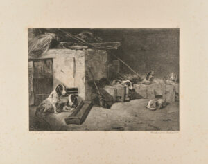 Intérieur d’un chenil