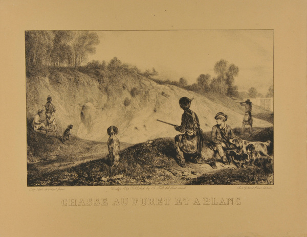 CHASSE AU FURET ET À BLANC