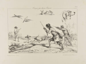 Sketches of bird hunting, rabbits, and dogs