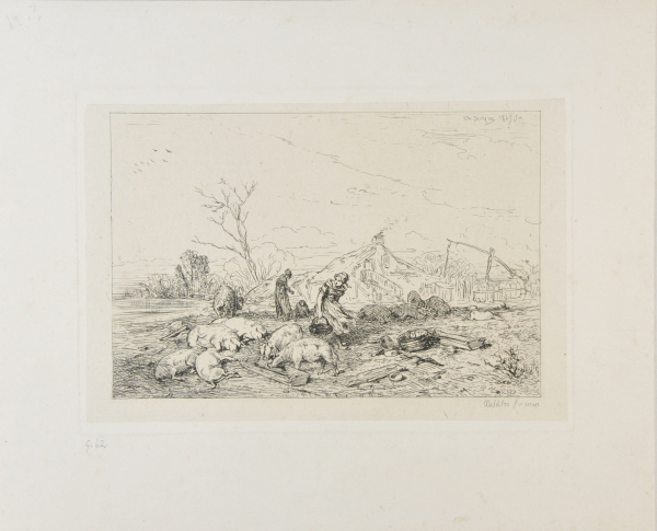 LANDSCAPE: HERD OF PIGS