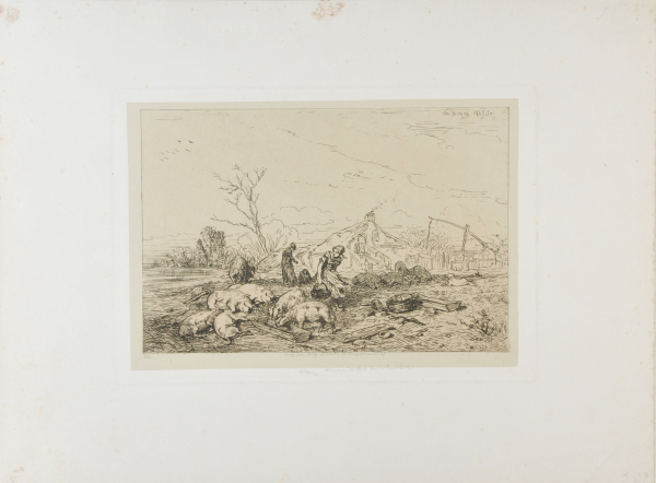 LANDSCAPE: HERD OF PIGS