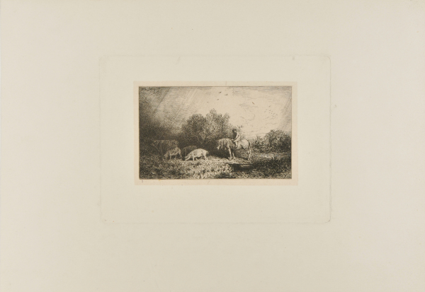 LANDSCAPE AND ANIMALS