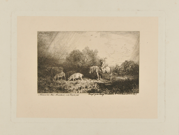 LANDSCAPE AND ANIMALS