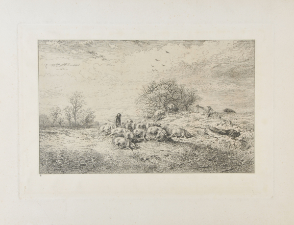 LANDSCAPE: HERD OF PIGS