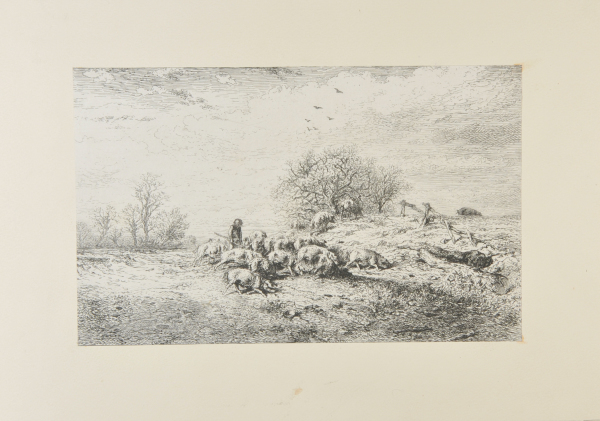 LANDSCAPE: HERD OF PIGS