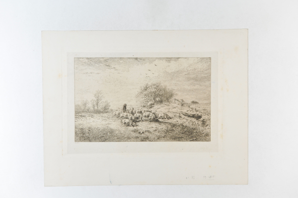 LANDSCAPE: HERD OF PIGS