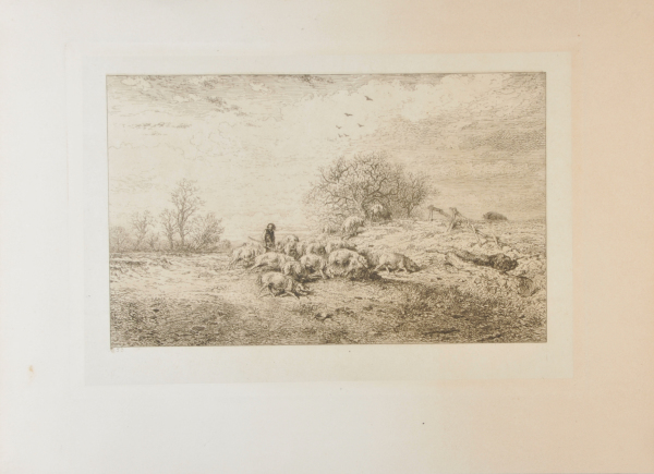 LANDSCAPE: HERD OF PIGS