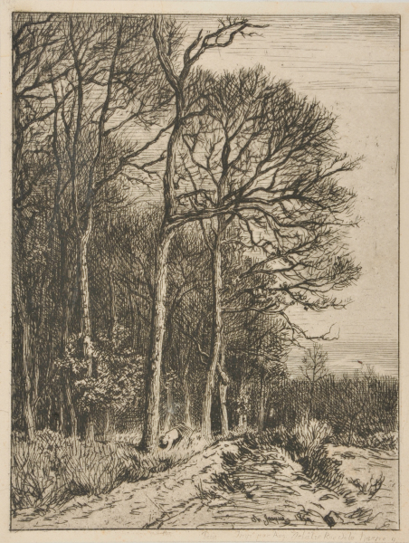 Paysage: Hiver – Lisière de forêt - Image 2