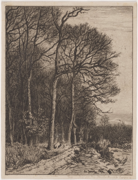 LANDSCAPE: WINTER - EDGE OF THE FOREST