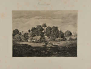 Paysage dans les Landes