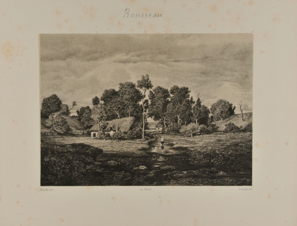 Paysage dans les Landes