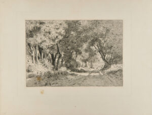 Dessous de bois, Noisy