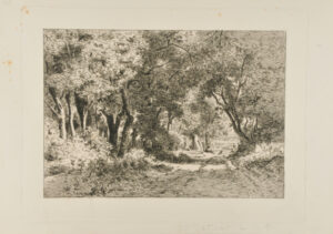 Dessous de bois, Noisy